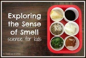 exploring-the-sense-of-smell-science-for-kids